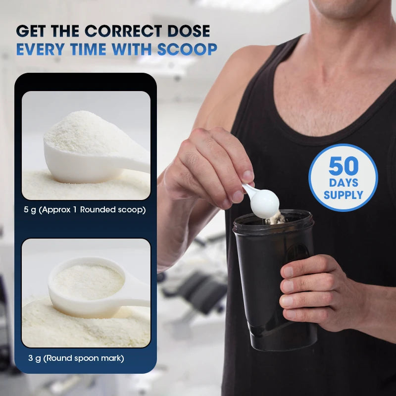 Creatine Monohydrate Powder – Fruit Punch