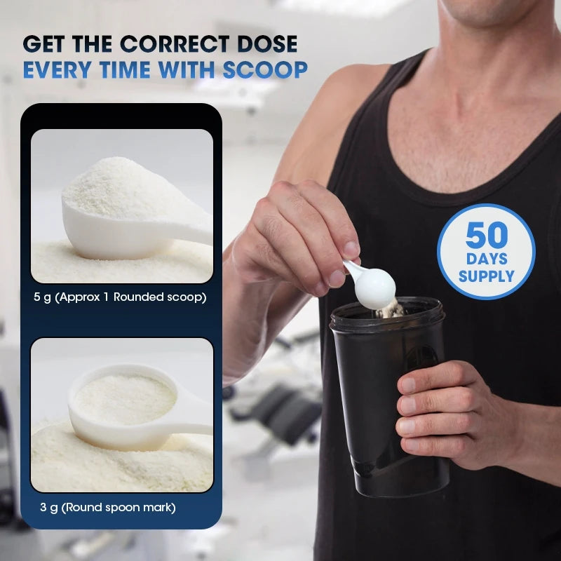 Creatine Monohydrate Powder – Fruit Punch